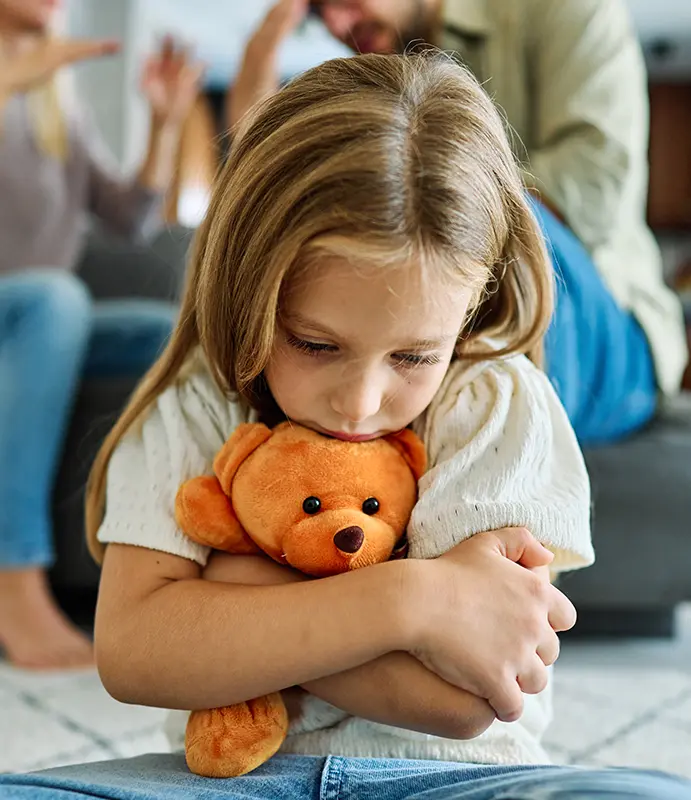 family law Illinois